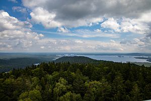 A view of forest and lakes from atop a lush green mountain.