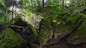 Large boulders covered in moss in a shady forest.