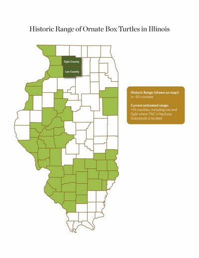 A map of Illinois showing the state's counties. Areas in the northwest, central western and southern parts of the state are colored green.
