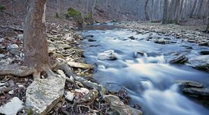Twin Creek flows through a rocky creekbed in a forest.