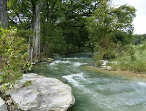 Fast-flowing water in the Pedernales River, Texas with trees on one bank and sand and grassy vegetation on the other.