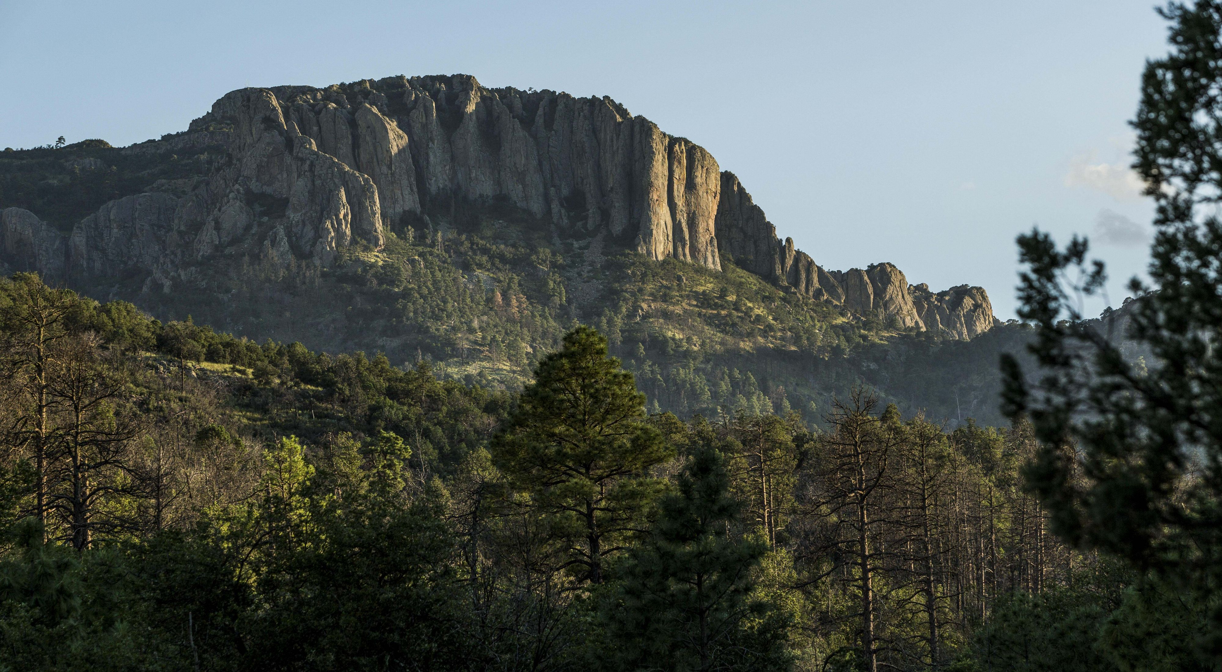 Rocky outcrops and mountains shoot up towards the sky behind a pine forest.
