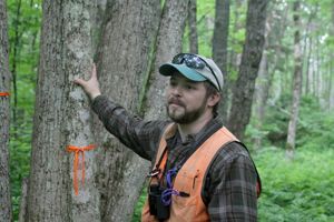 Tyler Everett, a citizen of Mi’kmaq Nation in present-day Maine, shows a brown ash during a workshop by the Ash Protection Collaborative across Wabanakik. 