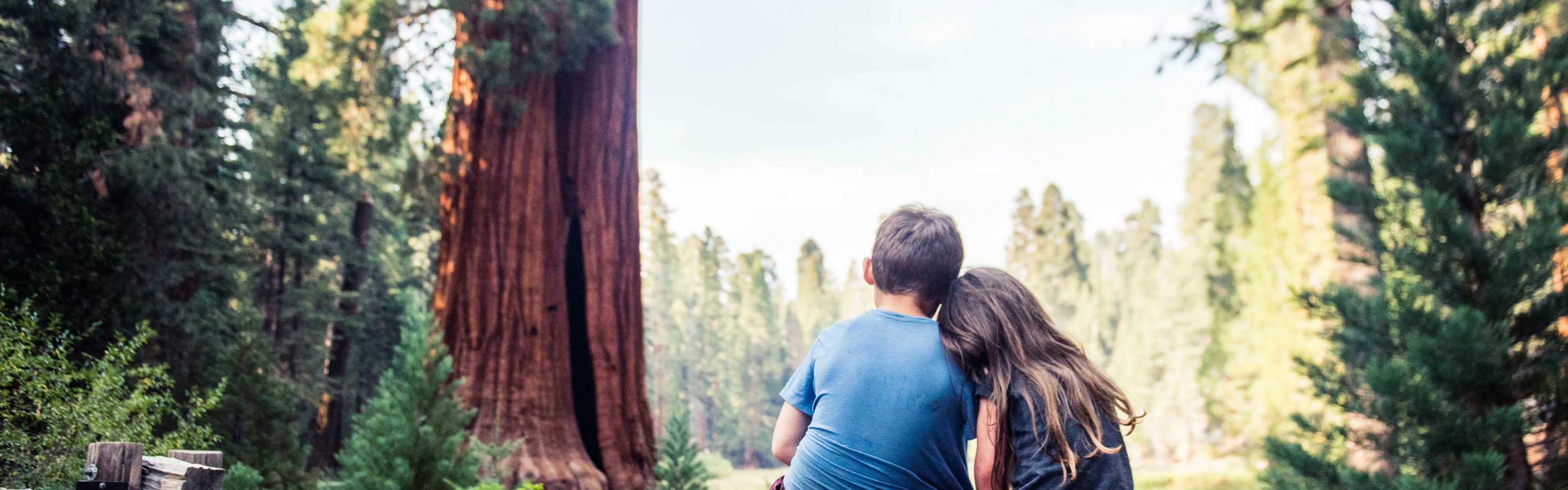 Two kids viewed from behind, sitting on a bench together in a redwood forest.