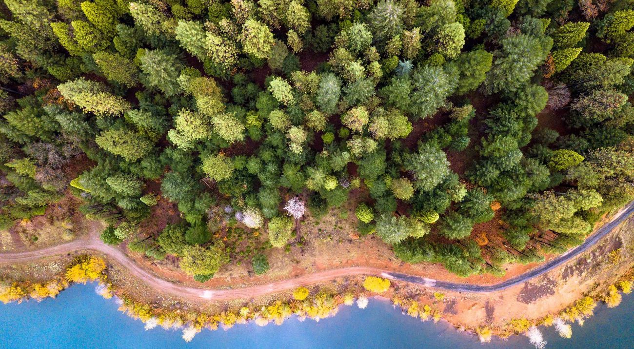 Aerial view of a road on a forested coastline.