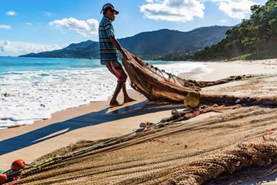 Mackrel fishermen fish along the shore with small boats and seine nets, trapping fish against the beach and hauling the catch up onto the sand, Seychelles.