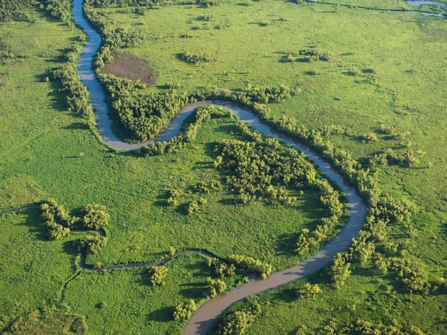 A narrow river winds through lush, green wetlands.