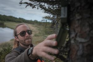 A close-up of Bill Kane as he checks a device strapped to a conifer tree. 
