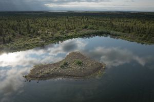 An aerial shot of the Kvichak River and the tree-dotted tundra that surrounds it.