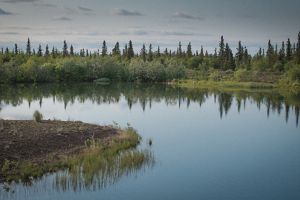 Shot of a still river near Igiugig, Alaska.