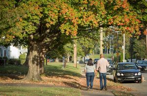 Two people walk on a sidewalk past a large tree.
