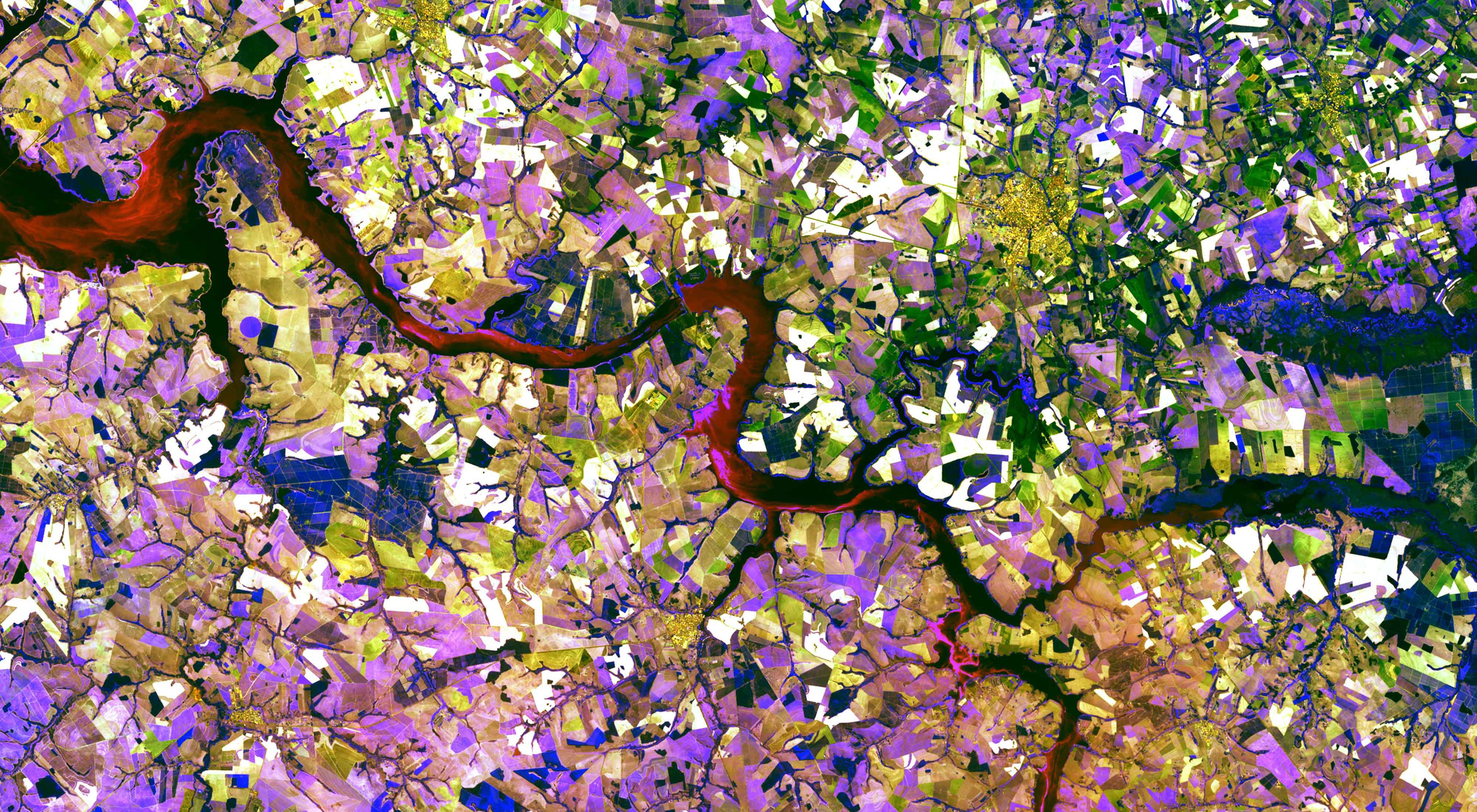 An aerial view of a river snaking through agricultural fields highlighted with different colors to indicate different crop types.