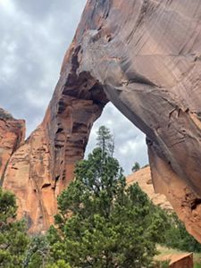 A soaring sandstone arch rises over the desert floor against a backdrop of low, gray clouds.
