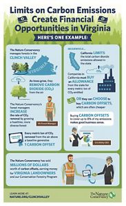 Infographic showing how limits on carbon emissions can create financial opportunities in Virginia. TNC has sold millions of dollars worth of carbon offsets early money for our forestry programs.