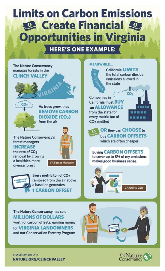 Infographic showing how limits on carbon emissions can create financial opportunities in Virginia. TNC has sold millions of dollars worth of carbon offsets early money for our forestry programs.