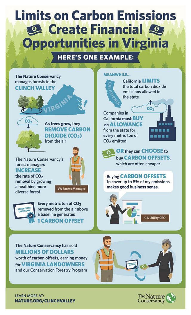 "Limits on Carbon Emissions Create Financial Opportunities in Virginia", illustrated infographic showing an example of how healthy, diverse forests can be used to create income earning carbon offsets.