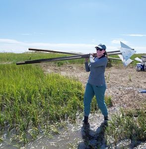 A smiling woman carries the long poles of information signs balanced on her shoulder as she walks through ankle deep water in a sandy, coastal area.