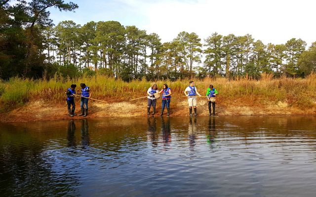 Six children standing in groups of two use dip nets to explore a tidal creek. The surface of the creek is gently rippled. Tall pine trees line the horizon in the background.