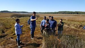 A parent chaperone leads a group a boys through the seaside marsh grass.