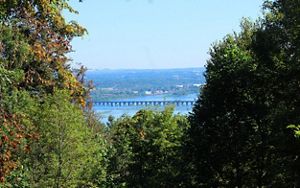 View of the Susquehanna River from a trail on Hamer Woodlands at Cove Mountain. A break in the center of a stand of trees reveals a bridge crossing the wide river with buildings behind.