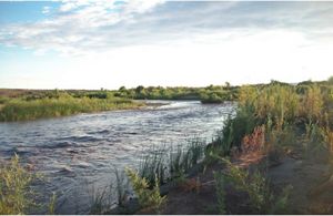 View of the Virgin River in Nevada 