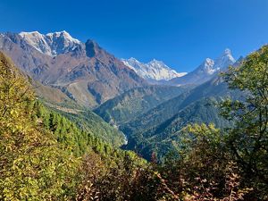 Close-up view of a monarch butterfly.