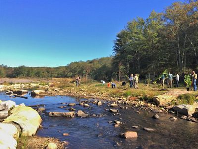 Volunteers work to plant the former impounded area following a dam removal on the Eight Mile River.