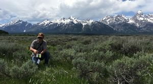 Person kneeling in a sea of sagebrush with snow covered mountains behind them.