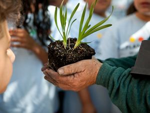 A seedling is held by a volunteer's hands, showing it to the group of children around them.