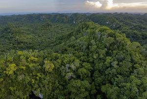 Aerial view of the Maya Forest in Belize.