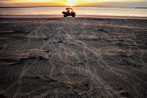 Turtle tracks run across a beach at sunrise, while a researcher in a dune vehicle drives along the edge of the shore.