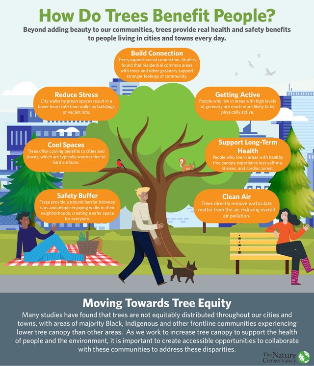 Illustrated infographic showing the many benefits of urban trees.
