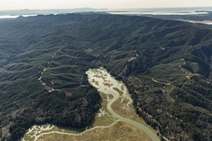  Aerial landscape of the Ellsworth Creek Preserve.