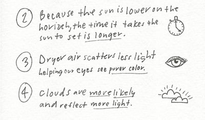 Illustration of words in a field notebook.