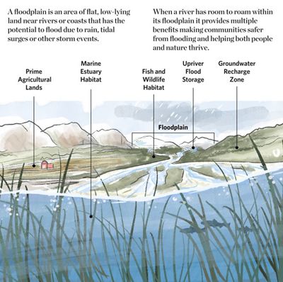 Watercolor illustration of a river running through a landscape and emptying into an estuary.