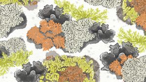 Illustration of many different-colored lichen.