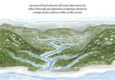 Watercolor illustration of rivers of water running down a green hillside.