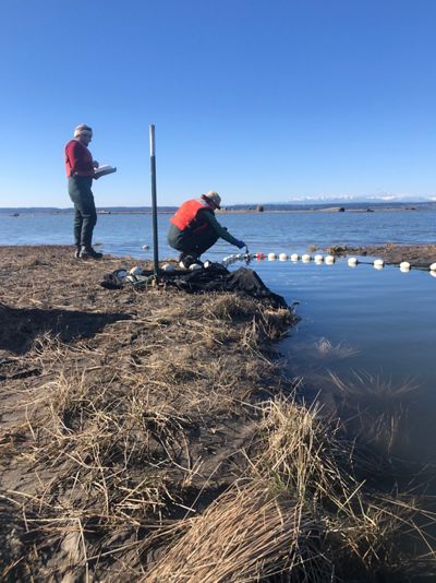 Two researchers work at the edge of a body of water.