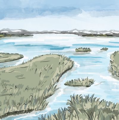 Illustration of a body of water with small grassy islands scattered throughout it.