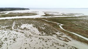 Aerial view of a series of rivulets running through an estuary at the edge of a large body of water.