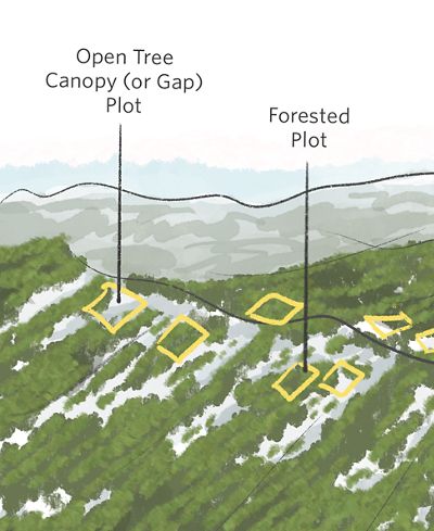 Illustration of project sites, outlined with yellow squares, on snowy areas of a green-forested mountain ridge.
