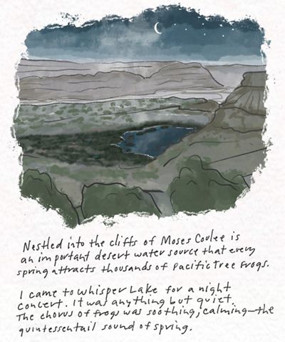 Illustration of a landscape with coulees and a river under a starry sky.