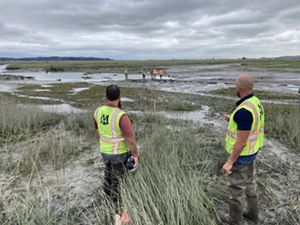 Several people wearing bright yellow safety vests stand in a muddy marsh.