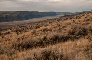 Sagebrush covers part of a mountain valley.
