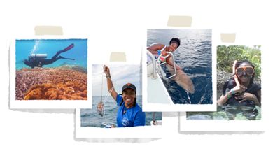 Collage of four photos showing people working in, under, or near the ocean.