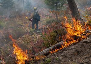 A person wearing yellow standing behind a fire. 