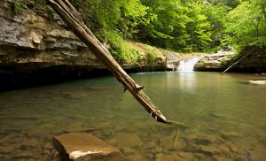A large stick touches down into a creek.