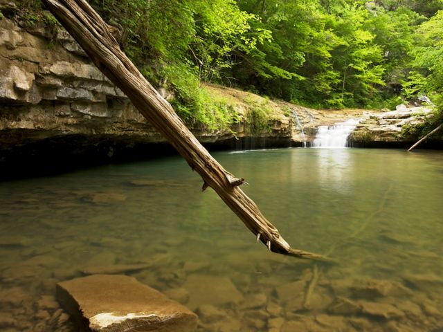 A large stick touches down into a creek.