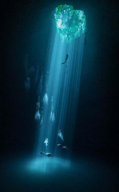 An underwater view of swimmers, freedivers, and divers exploring the Cenotes. Sunlight and vegetation can be seen above the water.