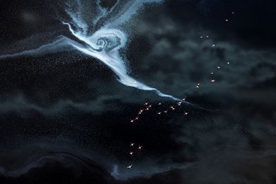 A flock of flamingos fly over the colorful salt lake, the floating foam pattern looks like lightning on the lake. 